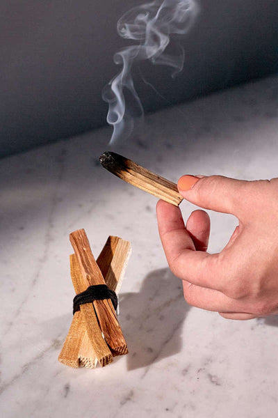 Palo Santo  Shop online quality natural incense – Lagraste